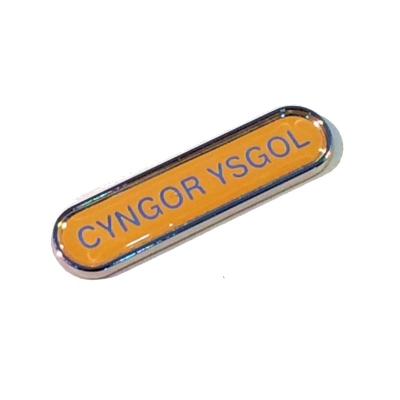 CYNGOR YSGOL badge